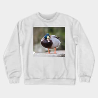 Messy Eater Crewneck Sweatshirt